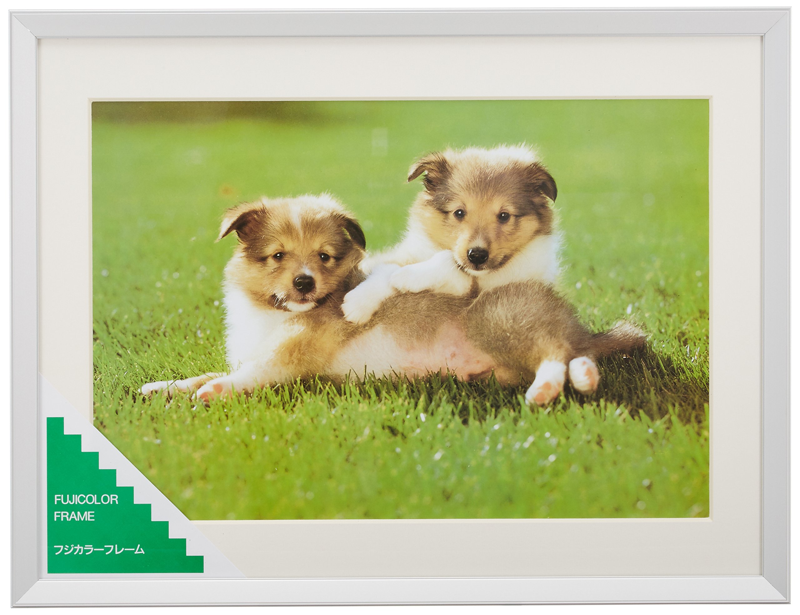 Amazon.co.jp: FUJICOLOR 額縁 A10N ワイド4切 アルミ シルバー 17616